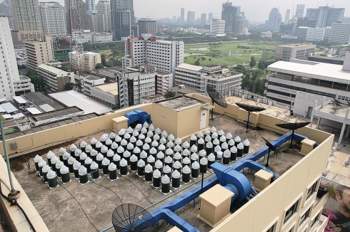 ... auf dem Dach eines Hotels in Bangkok die Mikroalge Spirulina.<br />