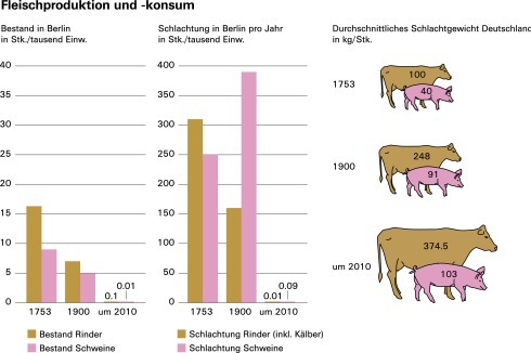 <strong>Fleischproduktion und -konsum</strong><br />