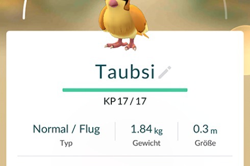 Technische Details zum Pokemón Taubsi<span class="OffWhite"></span><br />