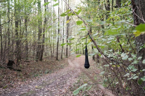 <strong>Waldprotokolle</strong> (2013, Installation View 2015) von Florian Mehnert<br />