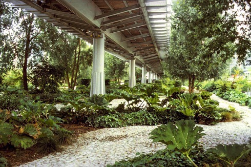 „Promenade des Gunneras“ (Mammutblatt) im drei Hek­tar großen „Jardins promenades“ westlich der Arche de la Défense bei Paris.<br />