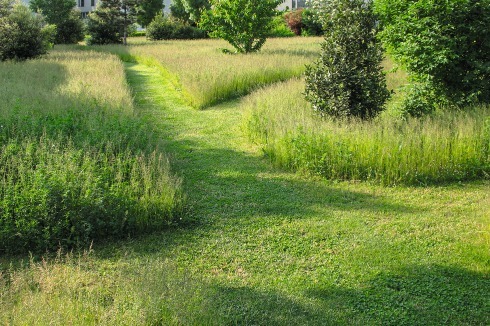 Partielles Mähen als szenisches Prinzip der Grenze im Garten der Ecole normale supérieure von Lyon. <br />