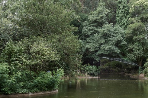 Bild 2 / 5