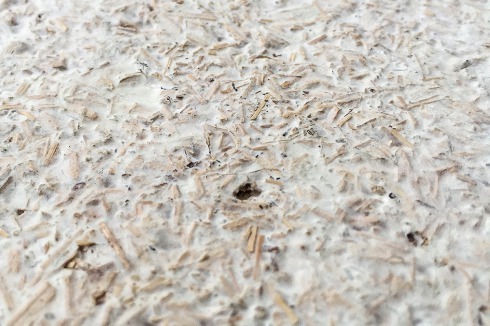 Nur scheinbar eine herkömmliche Spanplatte: Die milchweiße Oberfläche verrät, dass bei der Herstellung der Dämmplatte Pilzkulturen als Kleber zum Einsatz kamen.<br />