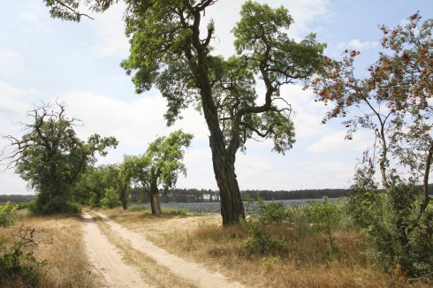 Alter Postkutschenweg in Schenkendorf, der am Grundstück des Ferienhauses im Spreewald vorbeiführt.<br />
