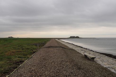 <span class="Bold">Die Hallig ist nicht eingedeicht. Die Befestigung besteht aus der Steinkante zum Meer, dahinter dem Steinigel. Die Warften erheben sich nur etwa vier bis fünf Meter.</span><span class="Bold"></span><br />