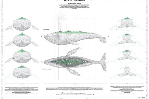 <strong><span class="Bold">Nominiert</span> </strong>Mariano Vilallongas mit dem Projekt „La Non Trubada“. Er übersetzt die Sage eines Atlantis-gleich auf- und abtauchenden Wals in ein temporäres Biotop. Dazu entwarf er ein Expeditionsgefährt, das Jules Verne gefiele.<br />
