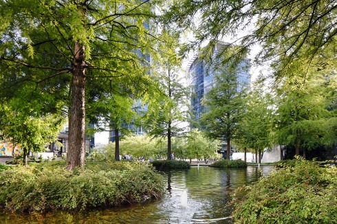 ... und ein mäan­drierender Bach prägen den Platz im Stadtteil Wola.<br />