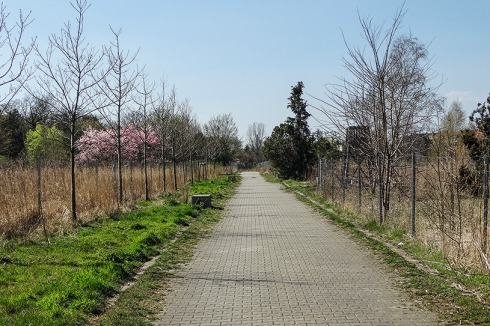 Die frühere Leipziger Stadtgärtnerei Holz wächst seit 2010 zu einer 3,8 Hek­tar großen Waldfläche, geplant von den Landschaftsarchitekten Burkhardt Engelmayer Mendel. Die Fotos zeigen die Hauptachse 2015 ...<br />