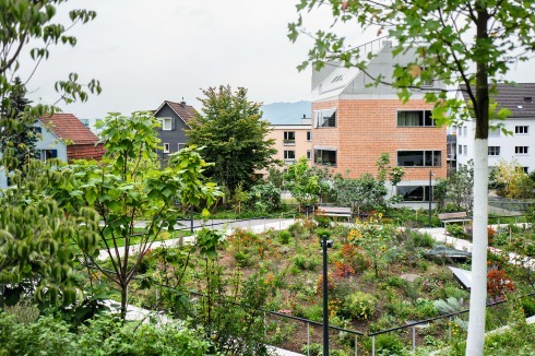 Der große Quartiersgarten im Osten dient sowohl als Außenbereich für das Alterszentrum als auch der Verbindung der beiden anliegenden Straßen. Westlich des Hauses haben die Bewohner einen rein privaten Außenbereich.<span class="White"> Im Bild: Eines der drei Staudenbeete mit mediterranen/exotischen Pflanzen. </span> <br />