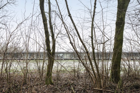 Der 100 Meter lange Riegel auf dem ehemaligen Kar­toffelacker steht direkt am Wald.<br />