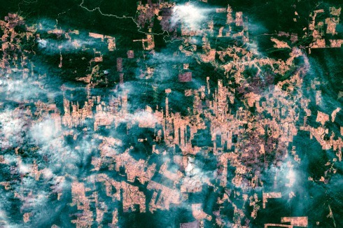 Satellitenbild von Bränden im Regenwald des Amazonasbeckens im August 2019<br />