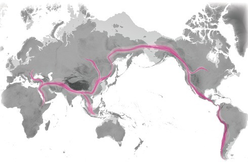 Karte ursprünglicher Migrationsbewegungen: Sie zeigt die Wanderungsverläufe ausgehend von Afrika vor 100.000 Jahren auf alle Kontinente. Vor allem Küsten und Flussufer wurden besiedelt. Wie sehen entsprechende Karten in 100, in 1000 Jahren aus?<br />