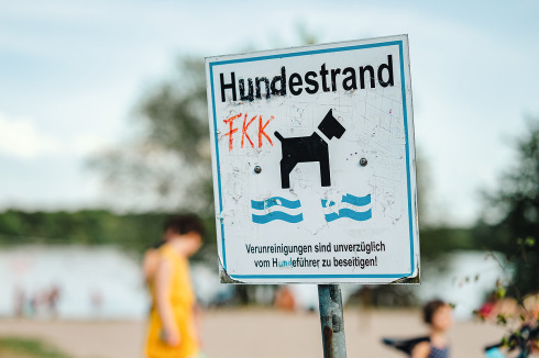 Bild 7 / 8