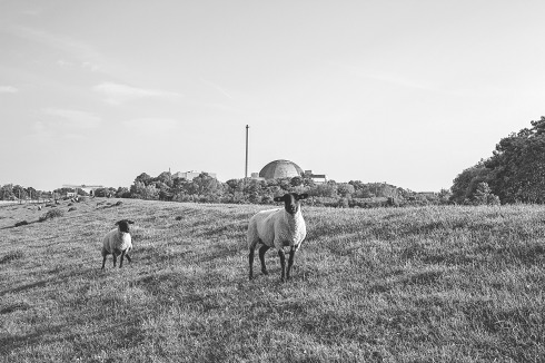 Bilderliste