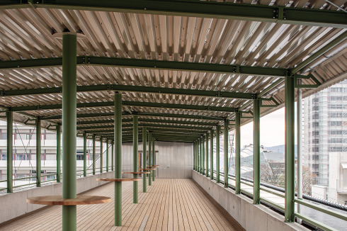 Die gemeinschaftliche Dachterrasse bietet unter anderem Ausblicke auf den Gehry-Bau des Novartis-Campus.<br />