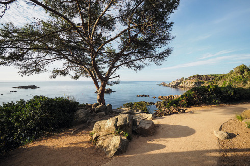 Das Büro EMT aus Girona hat 4,5 Kilometer des Küstenpfades erneuert, ...<br />