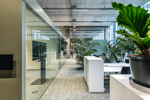 Grünes Büro: Die bereits in der Planung in ungewöhnlich hoher Zahl vorgesehenen Pflanzkübel ...<br />