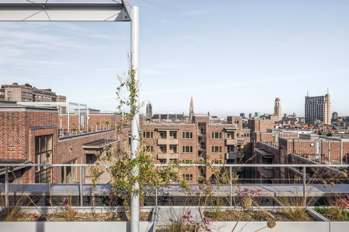 Blick von einer Dachterrasse.<br />