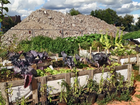 BAUWELT Informelles Gärtnern. Zur FreestyleArchitektur des Urban
