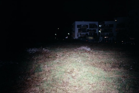 Bild 11 / 14