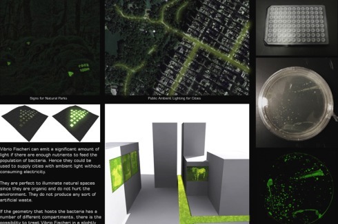 3. Preis „Next Generation“: „Bioluminescent devices for zero-electricity lightning“<br />