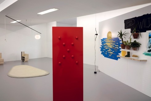 Hinterfragt die Zwänge konventioneller Wohnungseinrichtung - "Wild at Home" von Robert Stadler<br />