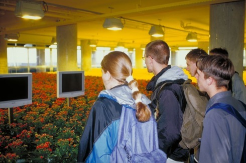 2000: Simulation einer typisch holländischen Blumenzuchtanlage.<br />