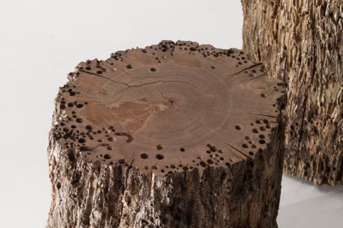 ... angenagten Eichenstümpfe zu dem Sitzmöbel "Bricola" geschnitten.<br />