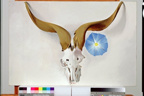 Georgia O'Keeffe: Widderschädel, blaue Winde (Ram's Head, Blue Morning Glory), 1938 Öl auf Leinwand, 50,8 x 76,2 cm Georgia O'Keeffe Museum, Santa Fe<br />