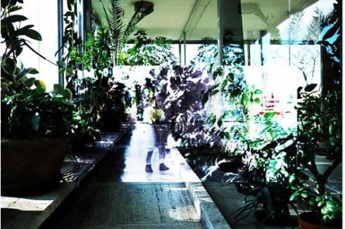 Im Wintergarten.<br />