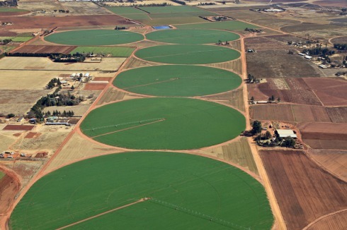 Getreidefelder bei Krugersdorp in Südafrika<br />