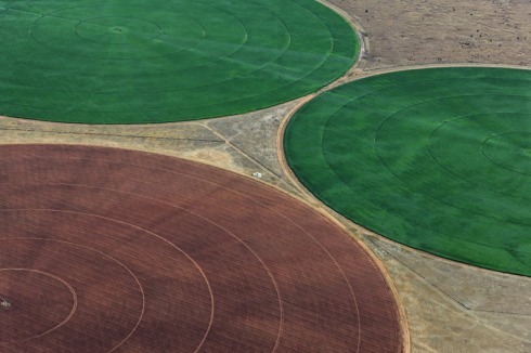 Landwirtschaft bei Rust de Winter in Südafrika<br />