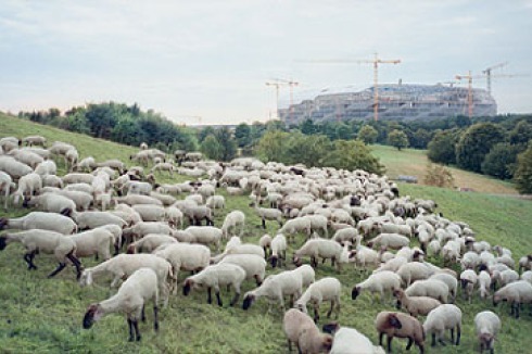 Bilderliste