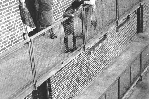 Laubenganghäuser in Dessau-Törten, von der Bauabteilung des Bauhauses unter Hannes Meyer 1929/30 errichtet: Die 47 Quadratmeter kleinen Mietwohnungen waren spottbillig und kamen damit dem Ideal der „Volkswohnung“ sehr nahe.