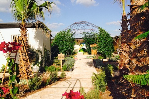 Da dauerhafte Gebäude nicht genehmigt wurden, baute ShamsArd auf einer Farm in Jenin bewachsene Konstruktionen<br />