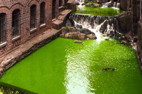 <strong>Green River</strong> (1998)<br />