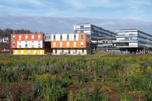 Die Gestaltung der Außenanlagen geht auf einen Vorschlag der Architekten zurück. Für den Fall, dass die Container wieder wegkommen, haben sie den Aushub als Erdwall vor Ort gelassen. <br />